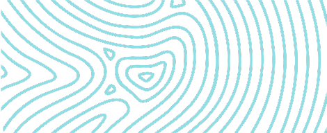 contact element