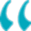 review icon